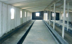 保温猪舍鸡舍与菱镁技术 现代农业与日常用品的创新融合