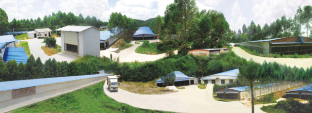 绿皇农牧 匠心独运，打造鸡中“LV”的深加工传奇