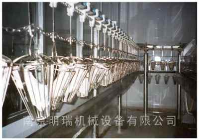 智慧升级，高效安全 家禽深加工自动化流水线的革新与应用