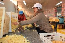 万载家禽 有机食品深加工引领产业升级新篇章