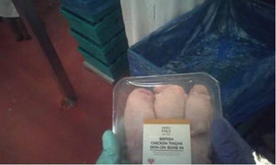 英媒卧底英国最大家禽加工厂，揭秘“毒鸡肉”与家禽深加工黑幕