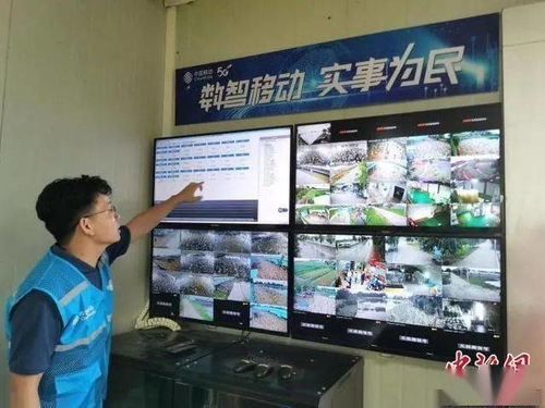 深圳 致富经 传疯了,学会卤鹅补贴1700元,是真的吗